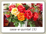 casa-e-quintal (5)